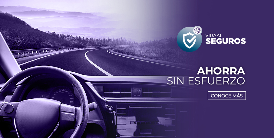 seguros